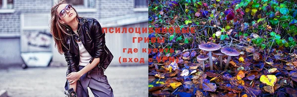 кокаин колумбия Алзамай