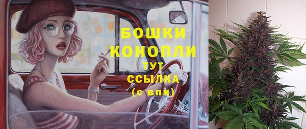 мяу мяу мука Абаза