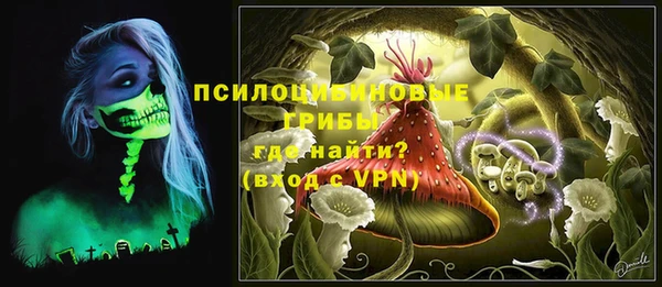 дурь Алексеевка